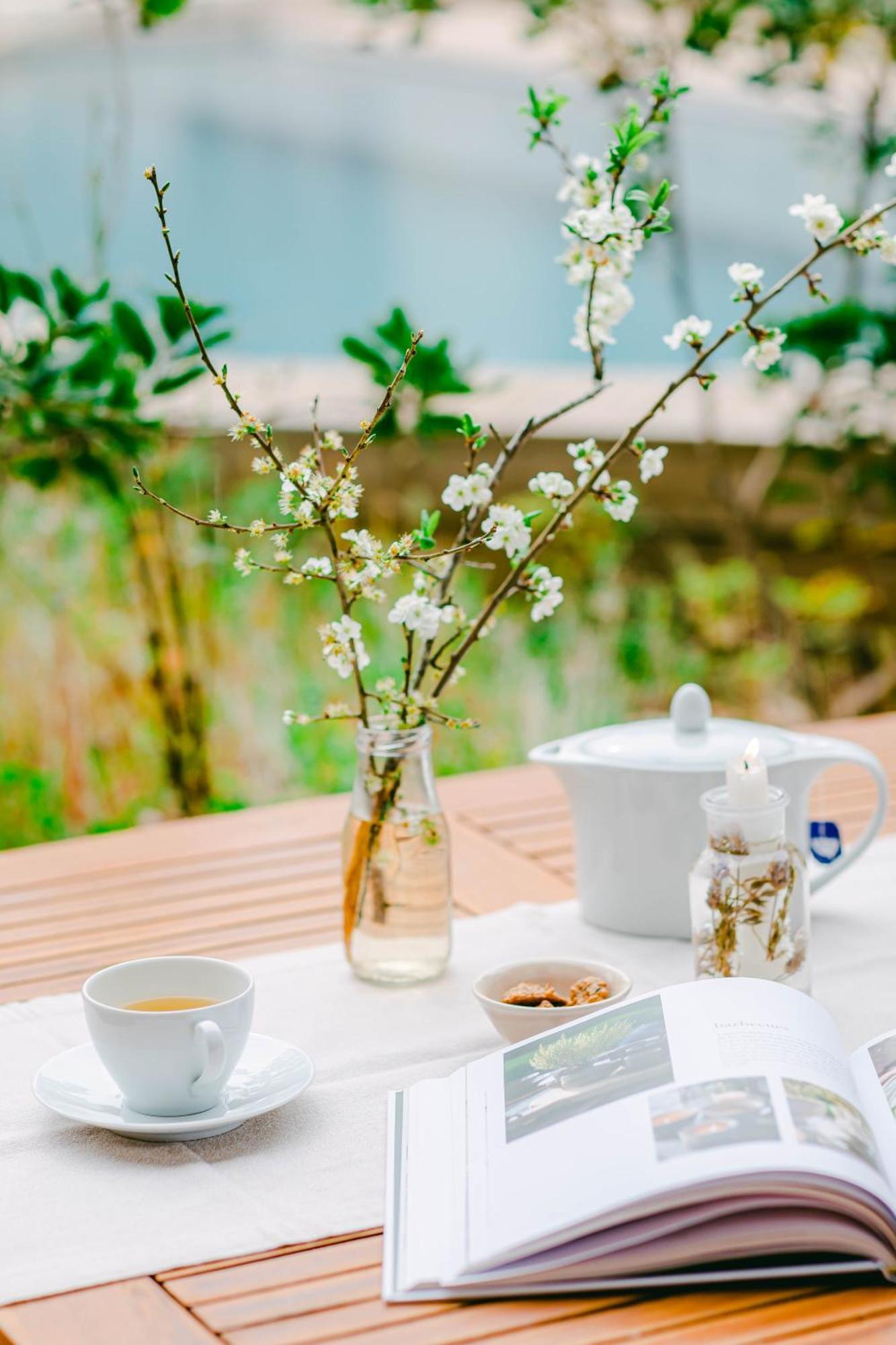 The Nest By Cooking And Nature Alvados Luaran gambar