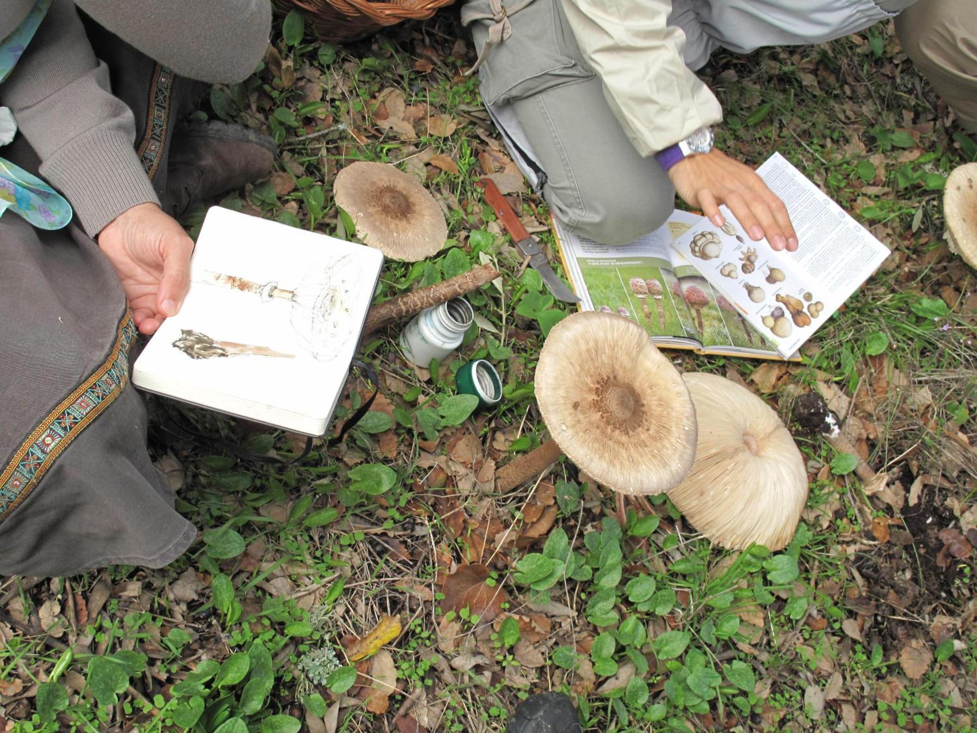 The Nest By Cooking And Nature Alvados Luaran gambar